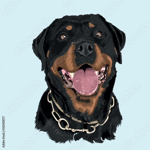 Vector Rottweiler Dog portrait in Light Blue Background.