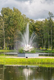 Small architecture - white water lily and fountain