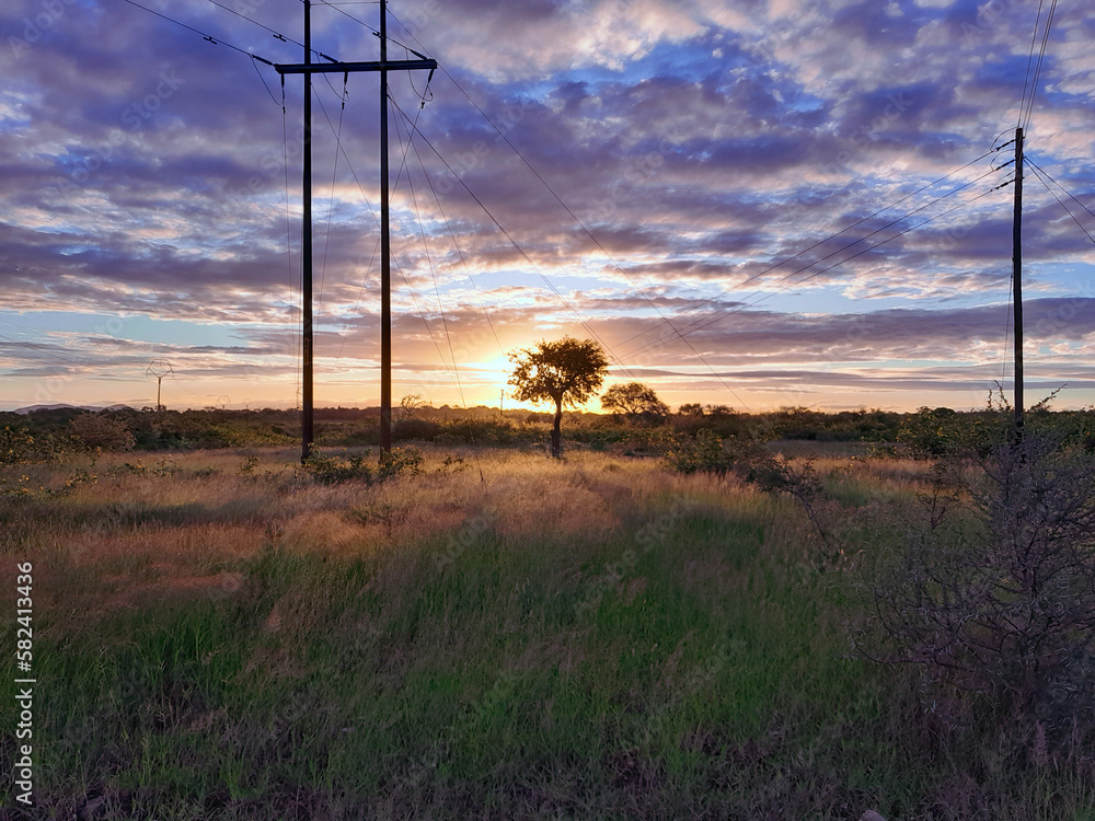 sunset in the field sunset in the field
