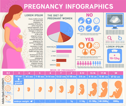Pregnancy infographic. Health of pregnant women and fetal development. Vector illustration with icons set and design elements. Constructor for creating your own design, infographics.