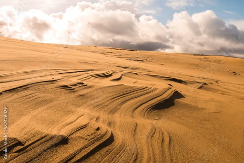 Sculpture de sable sur la Dune du Pilat photo