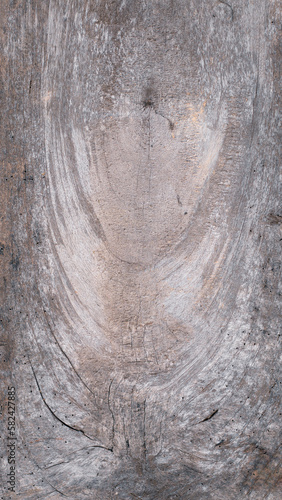 Old wood texture crack, gray-white tone. Use this for wallpaper or background image. There is a blank space for text..
