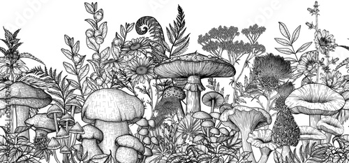 Seamless horizontal forest pattern with mushrooms, plants, herbs. Linear fly agaric, chanterelles, porcini mushroom, honey mushrooms, morels, mycena, russula, boletus, nettle, fern, chicory, chamomile
