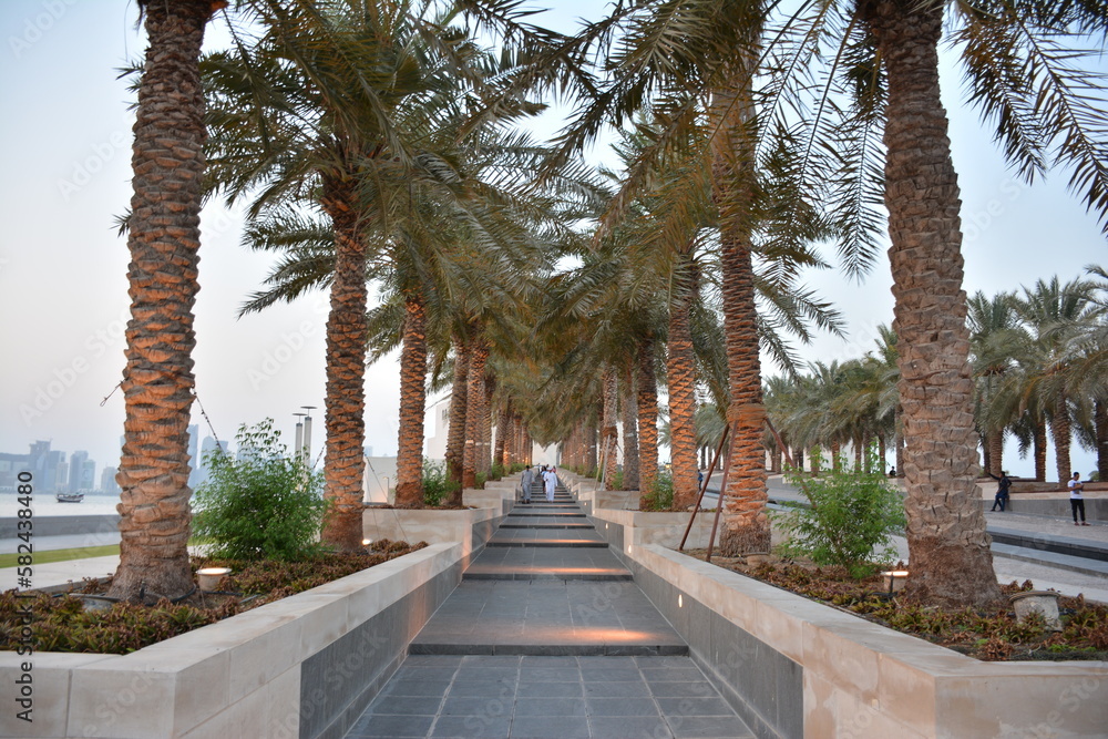 Obraz premium Palmen Allee Doha