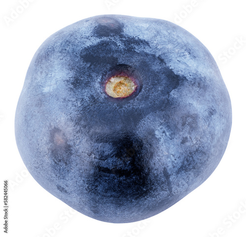 Single blueberry berry isolated on transparent background