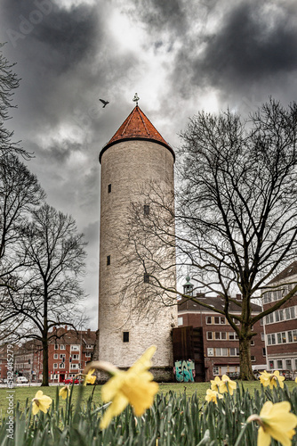 Buddenturm photo