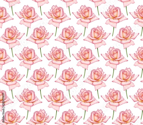 WHITE SEAMLESS BACKGROUND WITH BLOOMING DIGITAL WATERCOLOR PINK ROSES