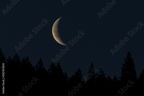 Waning Crescent Moon