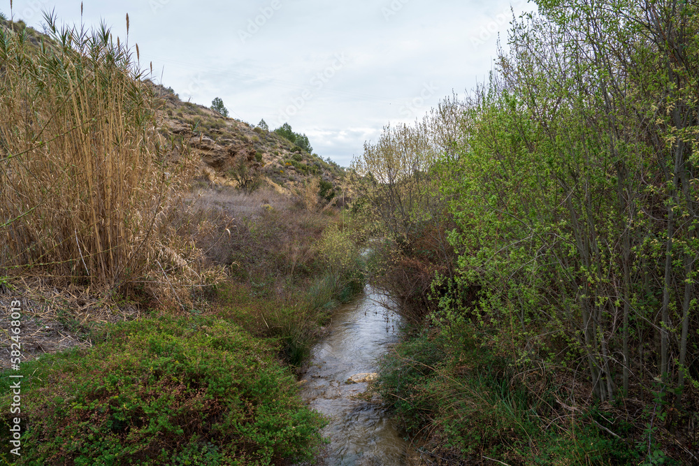 bullas salto del usero