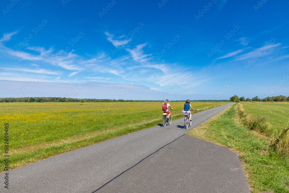 Fototapeta premium Radweg auf dem Darß.