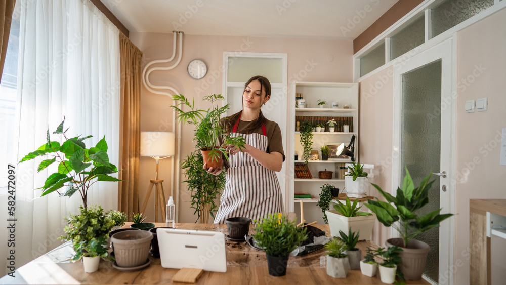 woman gardener florist take care grow cultivate plants at home woman gardener florist take care grow cultivate plants at home