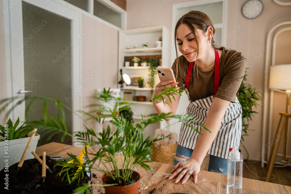 woman gardener florist take care grow cultivate plants at home woman gardener florist take care grow cultivate plants at home