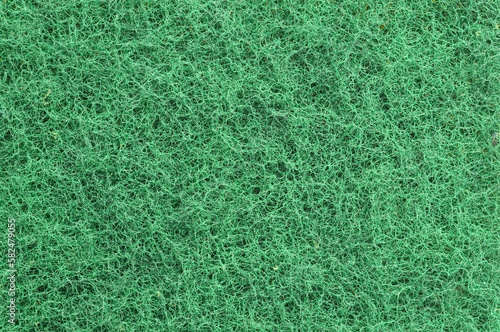 grass