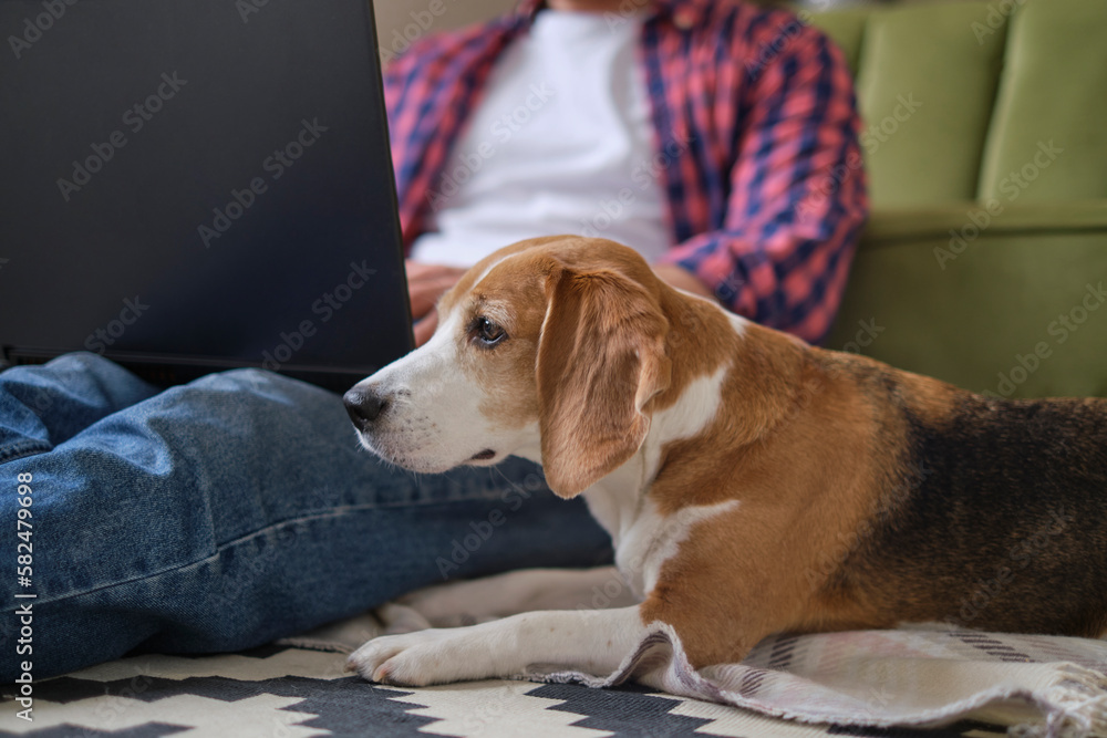 man and his pet coexist peacefully while working and taking breaks in the comforting and snug atmosphere of their home. working from home can be a calming and pleasurable experience. man and his pet coexist peacefully while working and taking breaks in the comforting and snug atmosphere of their home. working from home can be a calming and pleasurable experience.