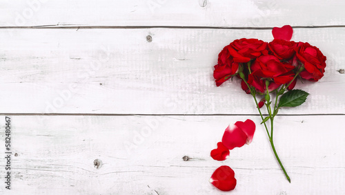 red roses on white wooden background. copy space