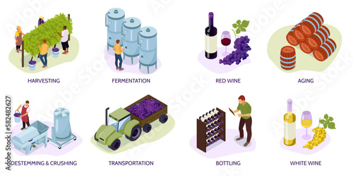 Isometric Vineyard Composition Set