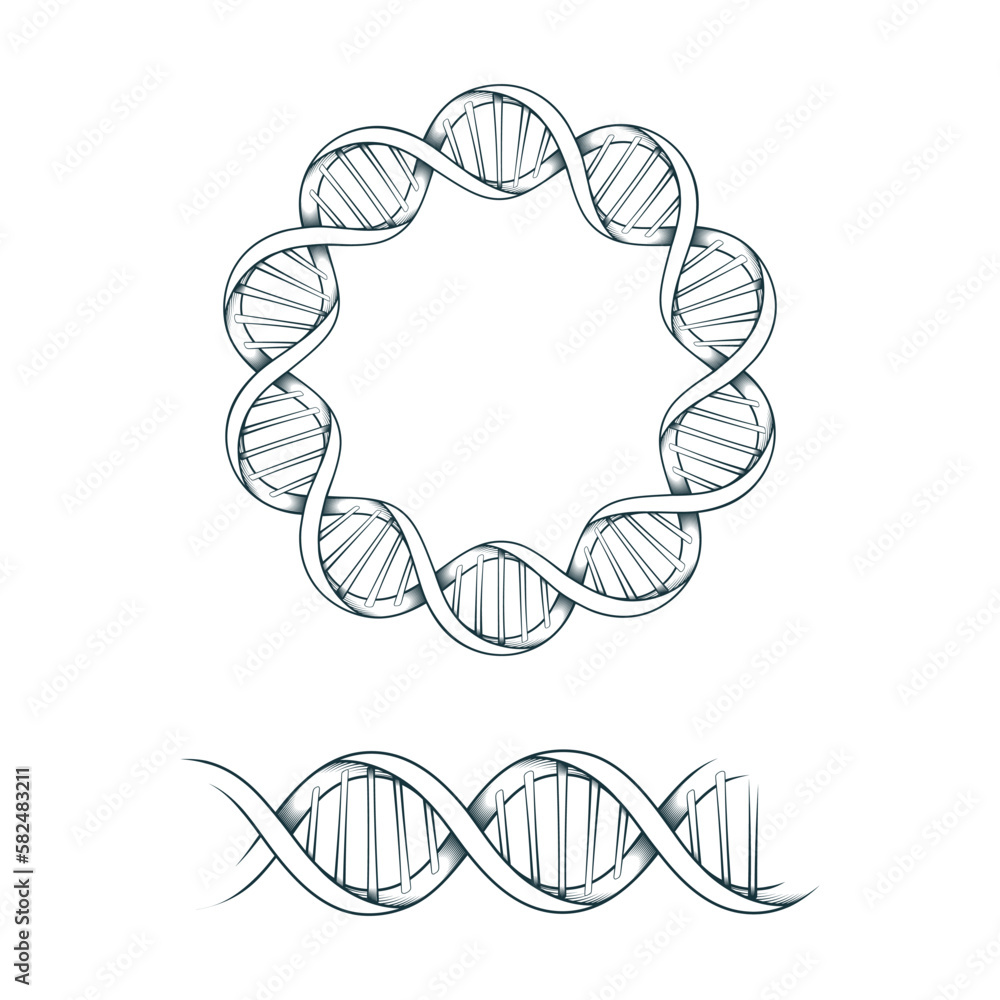 DNA spiral frame. Hand drawn mystical border isolated on white background. Two vector illustrations for greeting card, cover, tattoo or invitation. DNA spiral frame. Hand drawn mystical border isolated on white background. Two vector illustrations for greeting card, cover, tattoo or invitation.