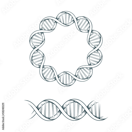 DNA spiral frame. Hand drawn mystical border isolated on white background. Two vector illustrations for greeting card, cover, tattoo or invitation.