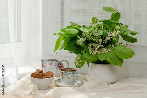 still life, bouquet spring bouquet of fragrant bird cherry, tea with sweets, a book on the windowsill by the window and tea on the windowsill, tea drinking on vacation in the summer.