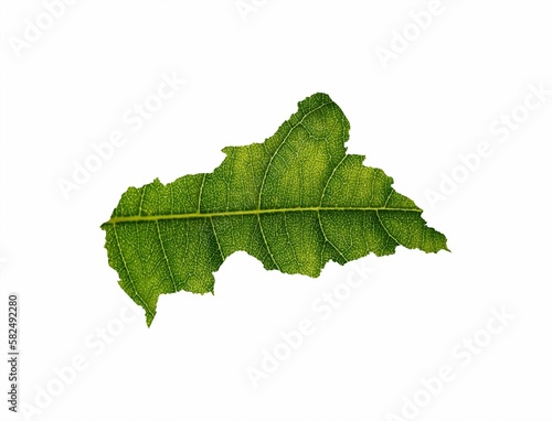 Central African map is made of a green leave on a soil background, ecology concept
