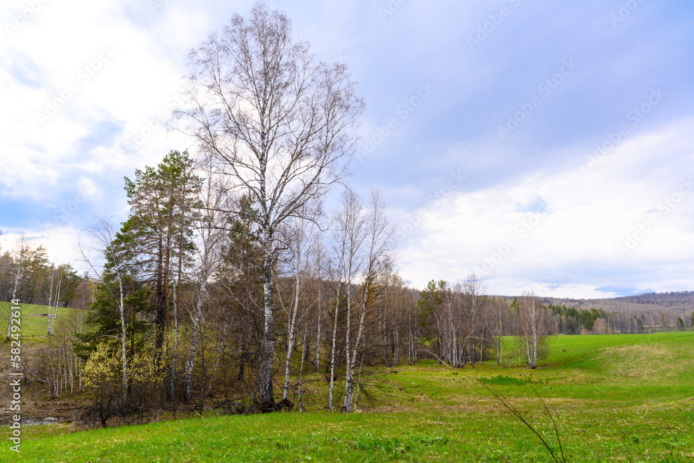 South Ural forest with a unique landscape, vegetation and diversity of nature. South Ural forest with a unique landscape, vegetation and diversity of nature.