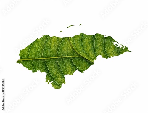 Map of Honduras is made of green leaves on white background, ecology concept, copy space