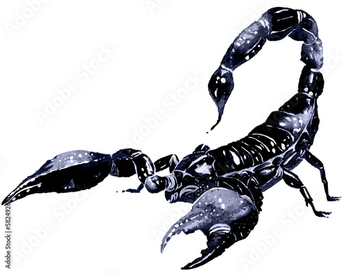 Watercolor scorpion illustration.Exotic scorpion wild insect.Astrology scorpio zodiac sign.Dangerous poisonous animal. photo