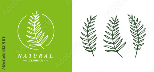 Organic fern illustration and badges logo template. Set of Minimalist stamp labels for tag fern leaves. Collection of hand drawn natural sign simple design
