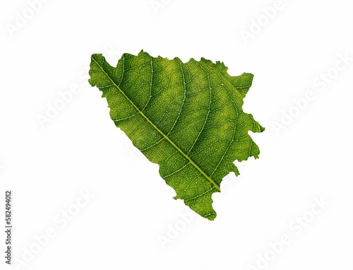 Bosnia and Herzegovina map made of green leaves on white background, ecology concept