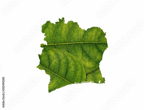 Illustration of the map of Ivory Coast made of a green leaf isolated on the empty white background