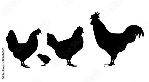 Silhouette of a chicken, a rooster and a chicken