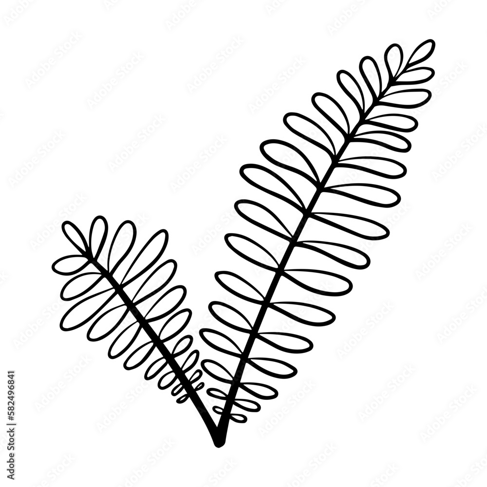 Fototapeta premium floral leaves element