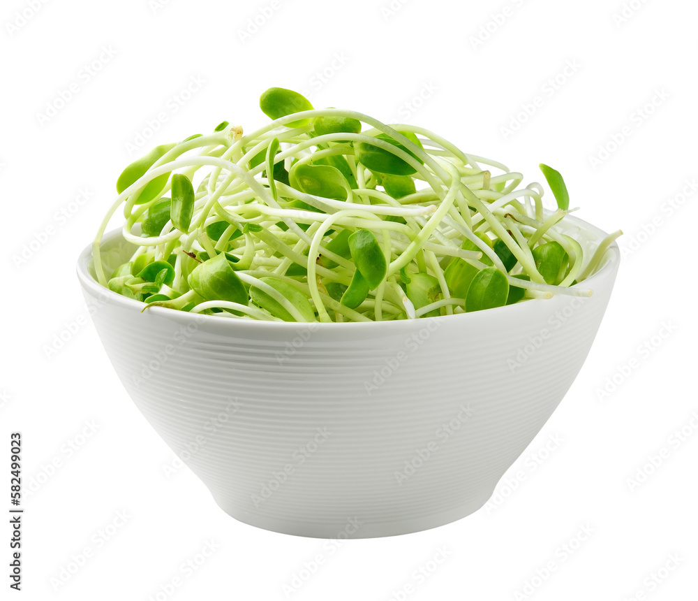 green young sunflower sprouts in the white bowl isolated on transparent png green young sunflower sprouts in the white bowl isolated on transparent png