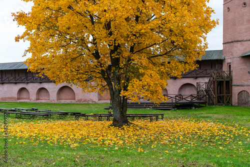 Spaso-Evfimiev Monastery in Suzdal. photo