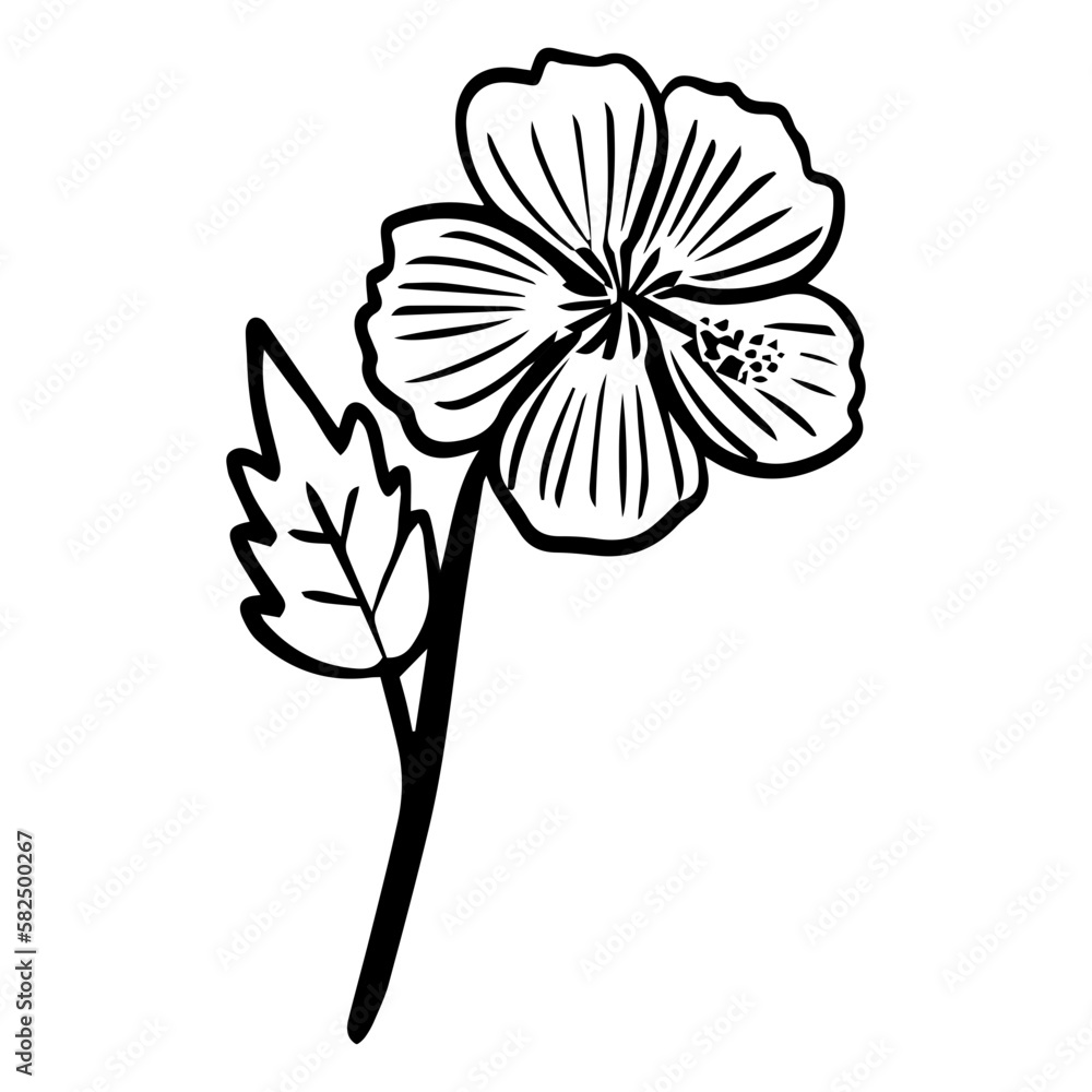 Obraz premium floral flower element