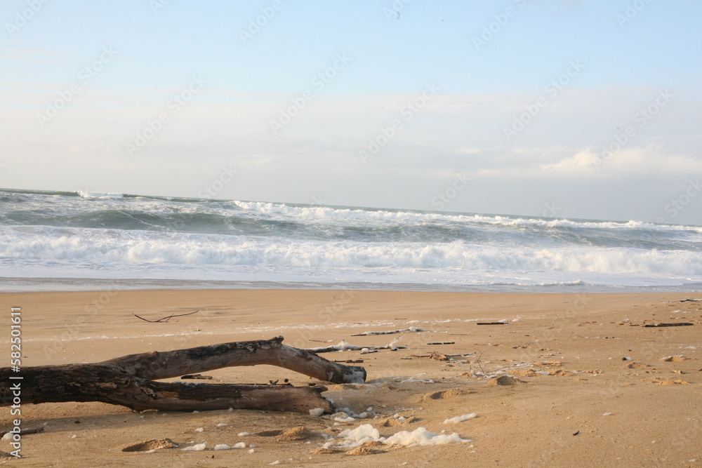 Plage Plage
