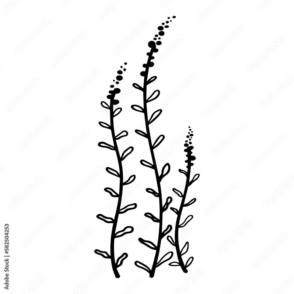 hand drawn floral flower element hand drawn floral flower element