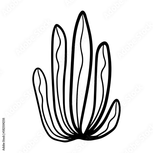 hand drawn floral flower element © KEN111