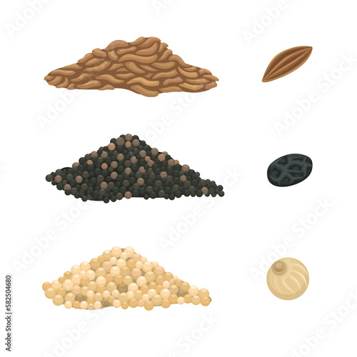 White and Black Pepper with Cumin Seed spice symbol set cartoon illustration vector
