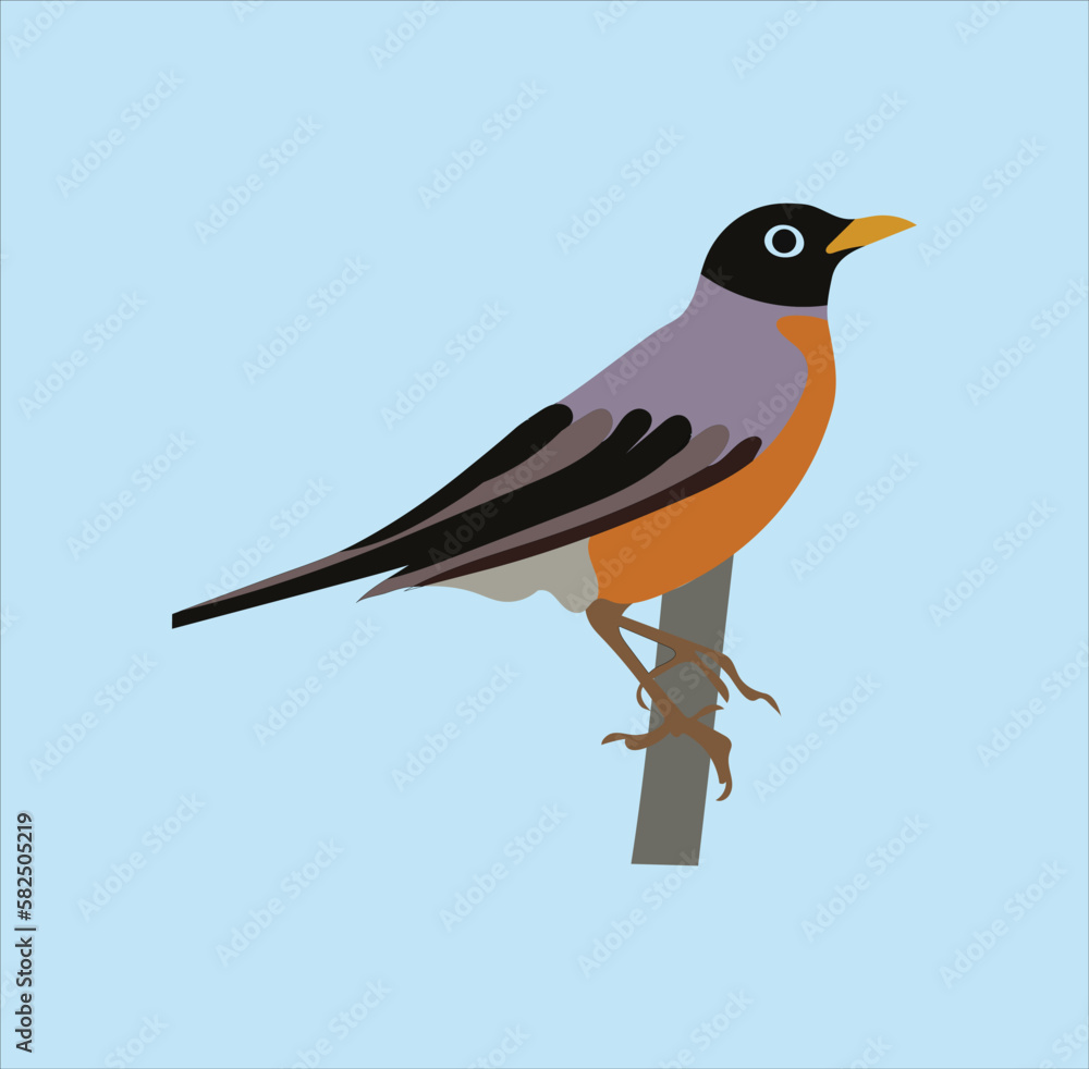 Fototapeta premium Nice bird vector art work.