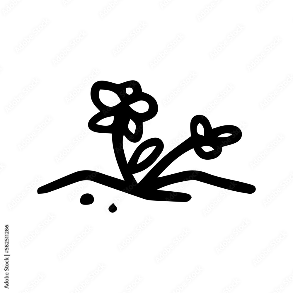 hand drawn plant hand drawn plant