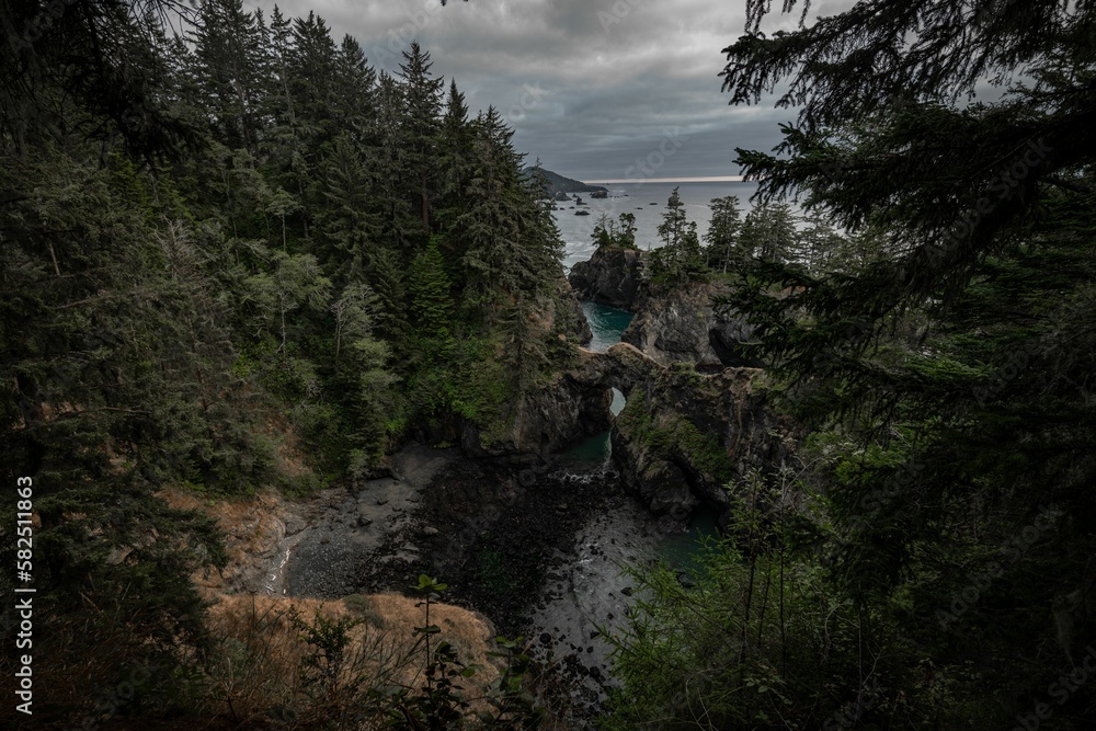 Dark woods and cliffs on a cloudy day. Samuel H. Boardman State Scenic Corridor, Oregon, USA.