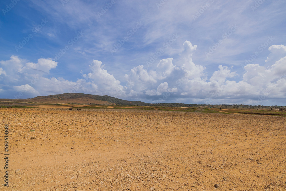 Beautiful view of stone desert of natural park on island of Aruba against backdrop of blue sky with white clouds.