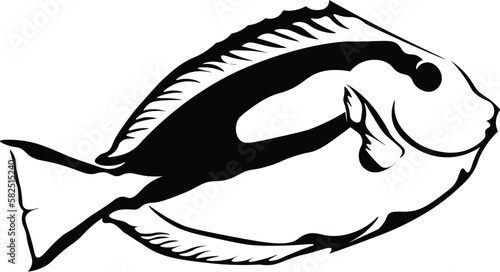 Black and White Cartoon Illustration Vector of a Dory Fish