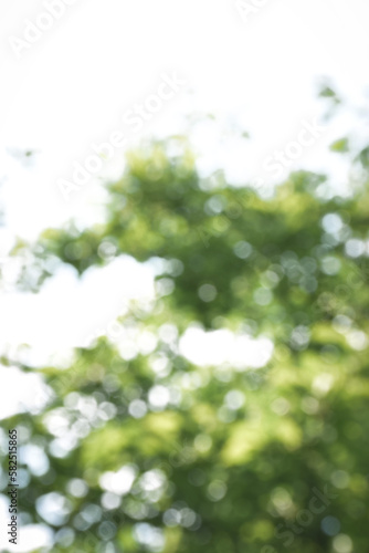 Blur nature green park ,abstract background. Copy space of travel nature adventure and environment ecology concept