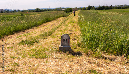 Fucecchio, Firenze province, route of the Francigena path from Lucca to Siena : milestone, fields and trees. Tuscany region, central Italy, Europe. photo