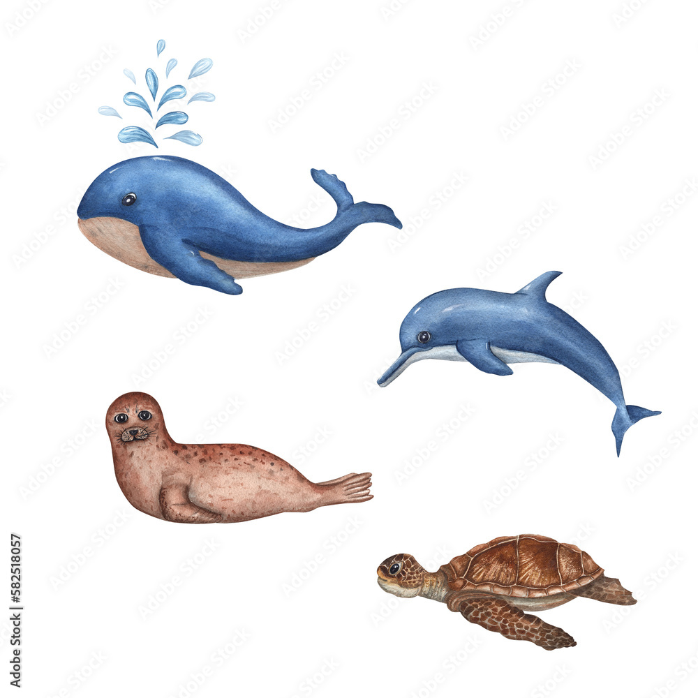Watercolor sea set with whale, dolphin, fur seal, turtle isolated on white background. For baby textile, wallpaper, nursery decoration, cards, background, souvenirs, fabric, wrapping. Cartoon style. Watercolor sea set with whale, dolphin, fur seal, turtle isolated on white background. For baby textile, wallpaper, nursery decoration, cards, background, souvenirs, fabric, wrapping. Cartoon style.