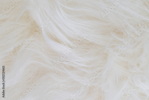 Sheepskin. Natural fur texture. Soft white background