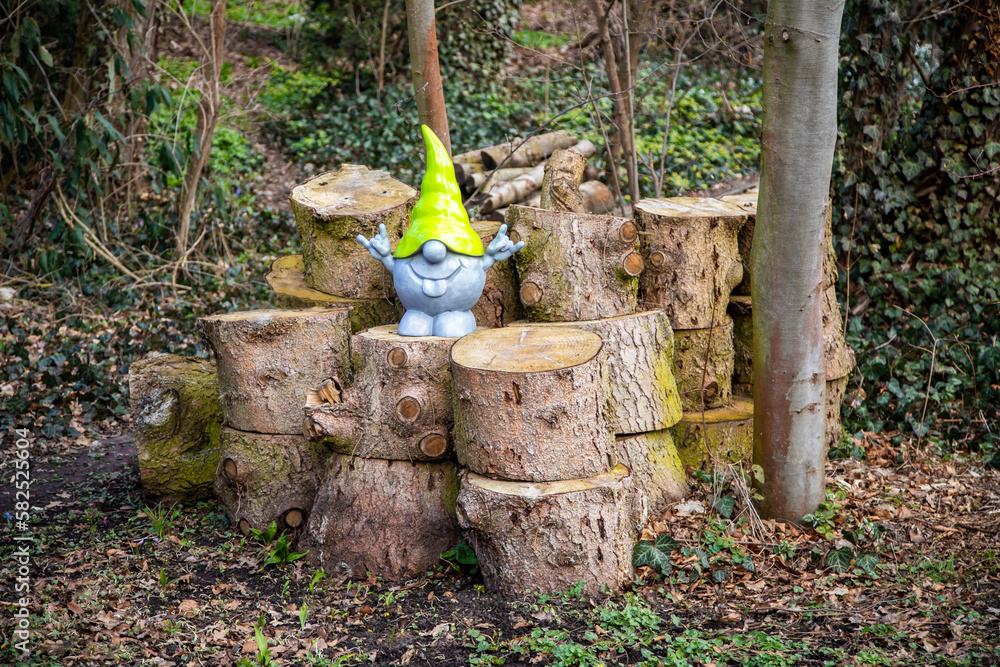 Obraz premium Ein Zwerg grüßt als Dekoration auf Holzresten im Garten