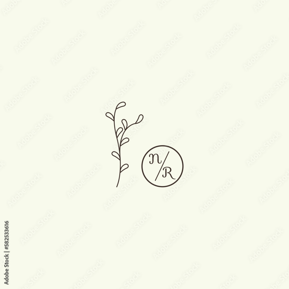Aesthetic botanical vector illustration isolated on background Aesthetic botanical vector illustration isolated on background